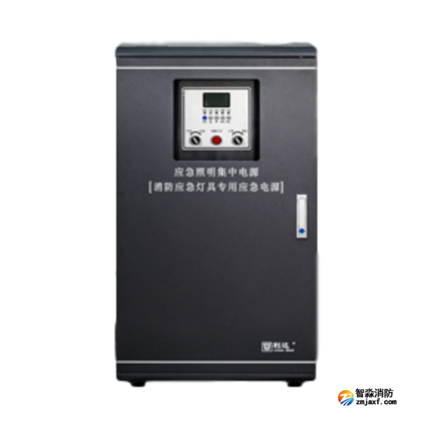利达消防应急灯具专用应急电源