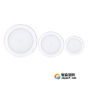 利达X4000系列（吸顶式）集中电源集中控制型消防应急照明灯具