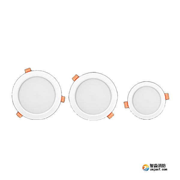 利达Q4000系列（嵌顶式）集中电源集中控制型消防应急照明灯具