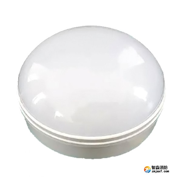 泰和安TS-ZFJC-E3W-6617/TS-ZFJC-E5W-6618二线制应急照明灯具