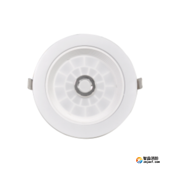 泰和安TS-ZFJC-E3W-6610A集中电源集中控制型消防应急照明灯具