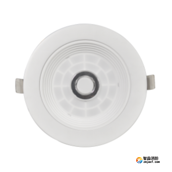 泰和安TS-ZFJC-E8W-6611A集中电源集中控制型消防应急照明灯具 嵌入式