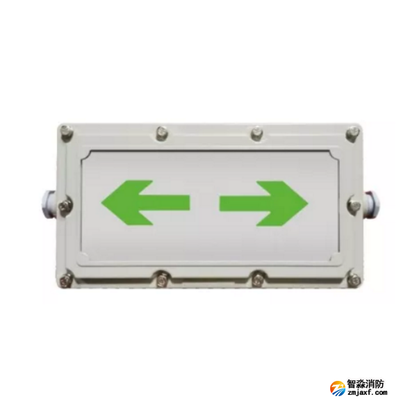 泰和安SS-BLJC-1LROEⅠ1W-6423 防爆型 集中电源集中控制型消防应急标志灯具