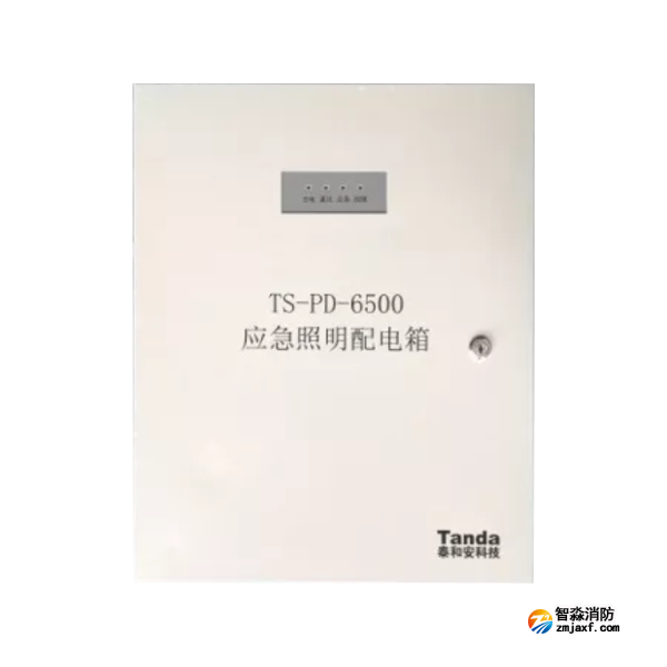 泰和安TS-PD-6500应急照明配电箱
