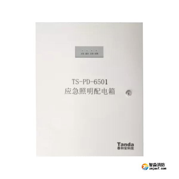 泰和安TS-PD-6501应急照明配电箱