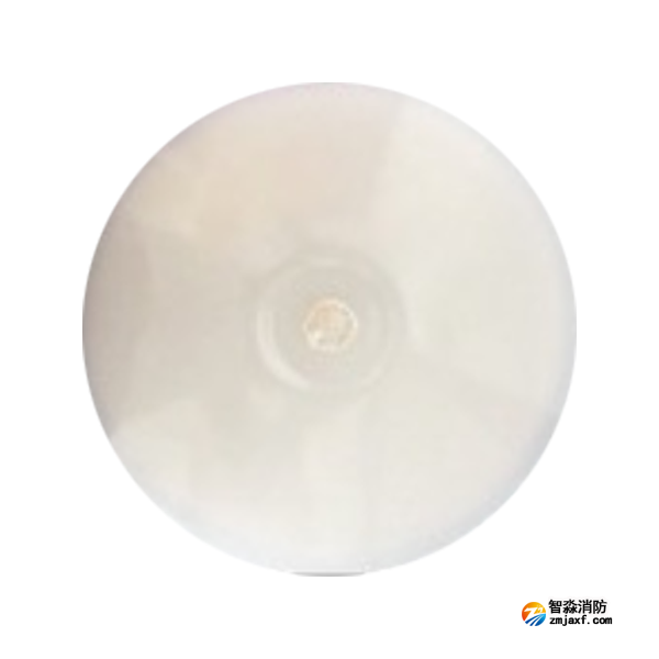 泰和安TS-ZLZC-E12W-6641自带蓄电池集中控制型消防应急照明灯具 吸顶式