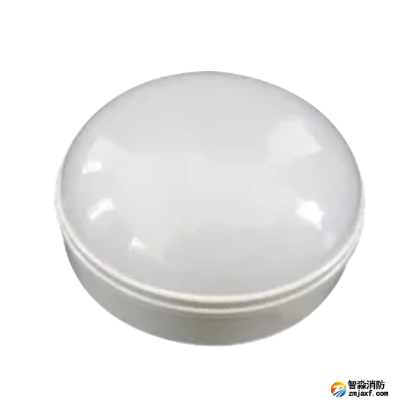 泰和安TS-ZLZC-E3W-6642自带蓄电池集中控制型消防应急照明灯具 吸顶式