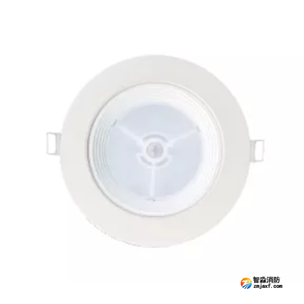 泰和安TS-ZFJC-E12W-6612B集中电源集中控制型消防应急照明灯具 嵌顶式