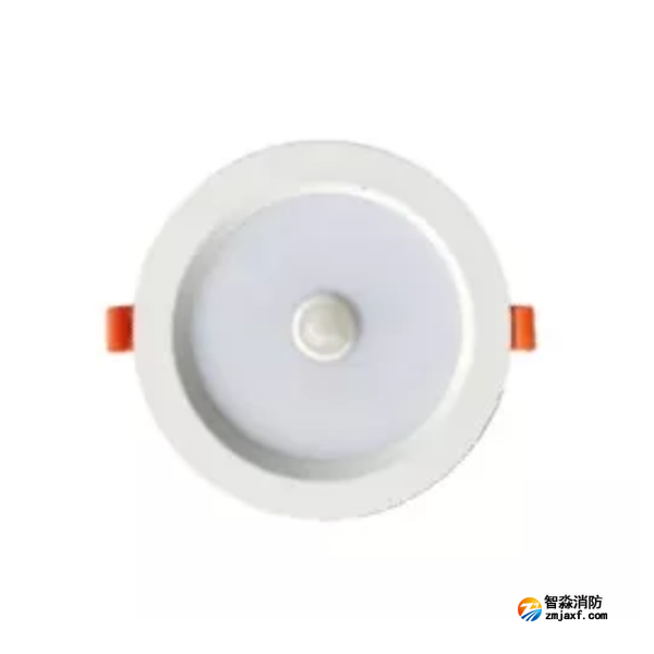 泰和安TS-ZFJC-E3W-6623/TS-ZFJC-E5W-6624集中电源集中控制型消防应急照明灯具 嵌顶式