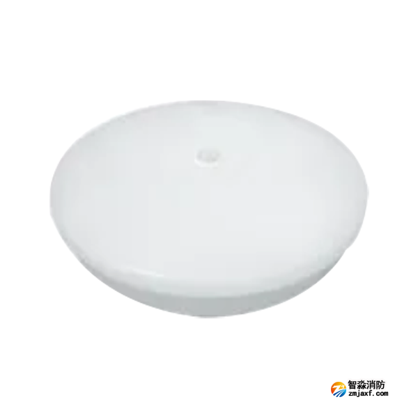 泰和安TS-ZFJC-E12W-6628G集中电源集中控制型消防应急照明灯具吸顶式