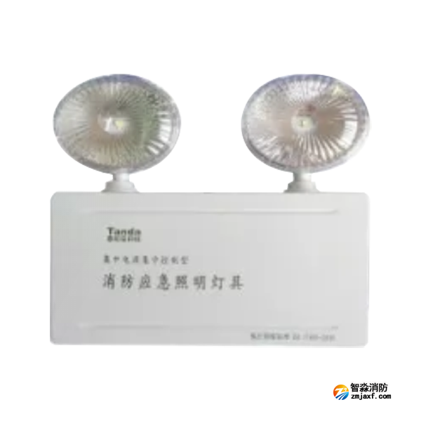 泰和安TS-ZFJC-E3W-6600A/TS-ZFJC-E5W-6600B集中电源集中控制型消防应急照明灯具 金属双头灯