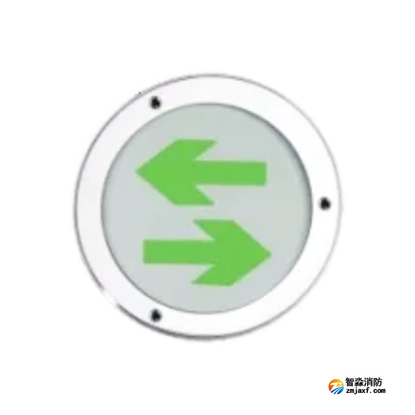 泰和安TS-BLJC-1LREⅠ0.5W-6402A/TS-BLJC-1LEⅠ0.5W-6401A集中电源集中控制型消防应急标志灯具 地埋标志灯