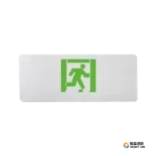 泰和安TS-BLJC-2LROEⅡ1W-6475集中电源集中控制型消防应急标志灯具 超薄金属吊装式