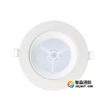 泰和安TS-ZFJC-E5W-6616B集中电源集中控制型消防应急照明灯具 嵌顶式