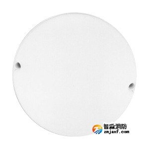 泰和安TS-ZFJC-E12W-6619集中电源集中控制型消防应急照明灯具