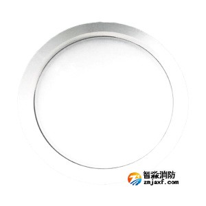 泰和安TS-ZFJC-E5W-6625集中电源集中控制型消防应急照明灯具