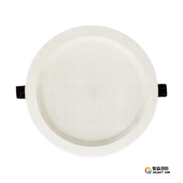 泰和安TS-ZFJC-E12W-6668L集中电源集中控制型消防应急照明灯具 雷达感应 嵌入式