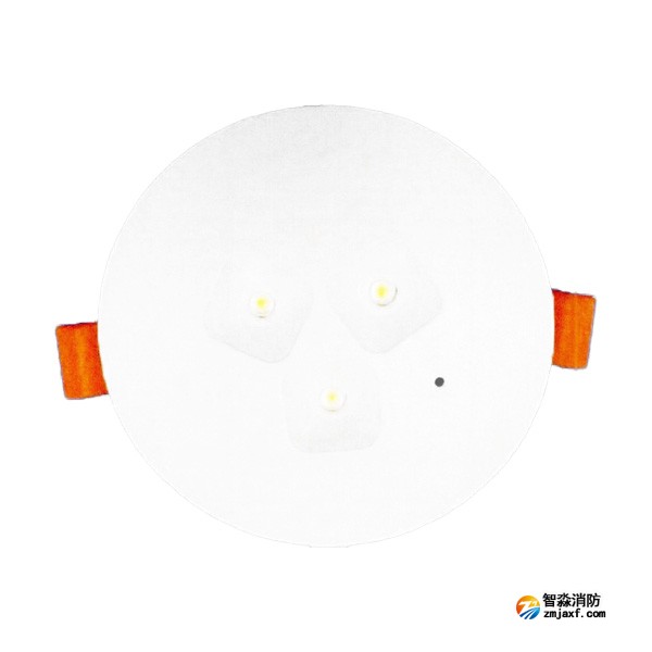 泰和安TS-ZFJC-E3W-6661集中电源集中控制型消防应急照明灯具