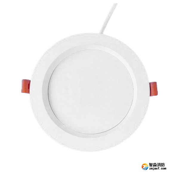 泰和安TS-ZFJC-E3W-6623A集中电源集中控制型消防应急照明灯具 （嵌顶式）