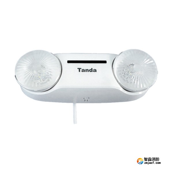 泰和安TS-ZFJC-E5W-6601B集中电源集中控制型消防应急照明灯具