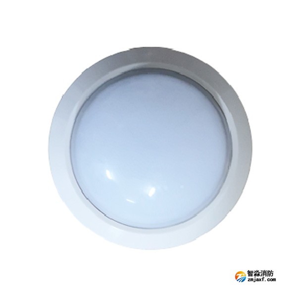 泰和安TS-ZFJC-E3W-6615A集中电源集中控制型消防应急照明灯具（吸顶式）