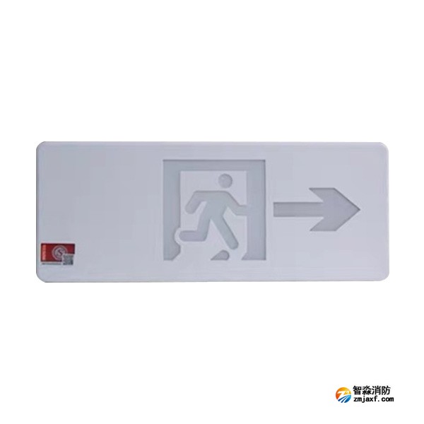 泰和安TS-BLJC-1REⅡ1W-6465R集中电源集中控制型消防应急标志灯具（塑料壁挂式）