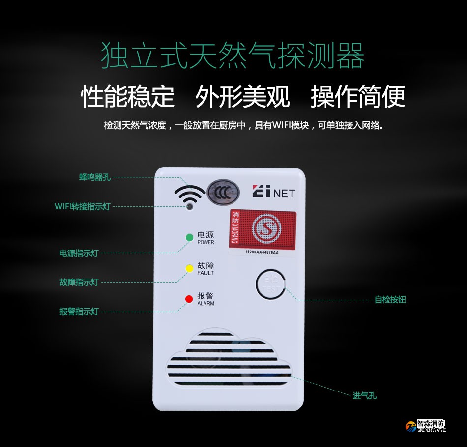 独立式天然气探测器