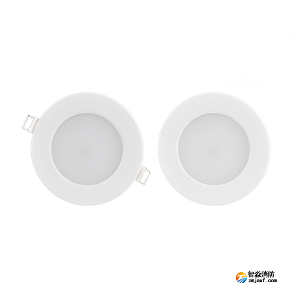 三江SJ-ZFJC-E3W/ZQ33集中电源集中控制型消防应急照明灯具