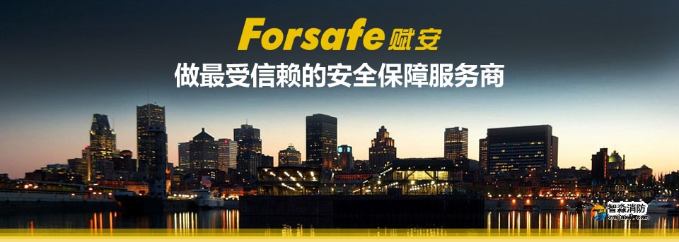 赋安 做最受信赖的安全保障服务商