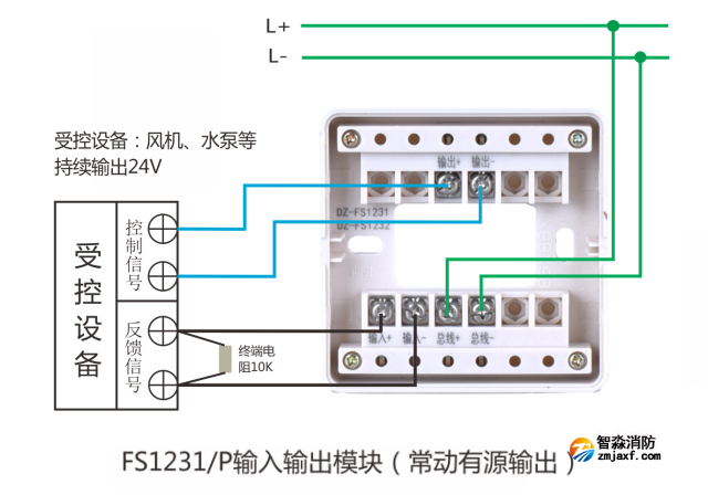 AFN-FS1231P输入/输出模块接有源输出线图