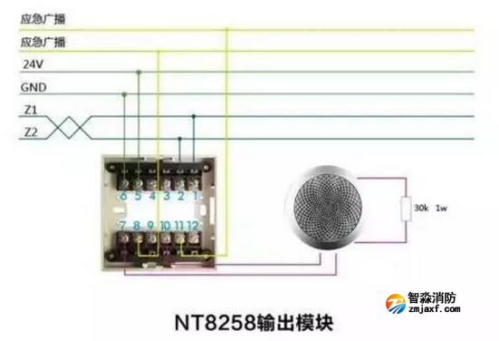 NT8258输出模块接线图