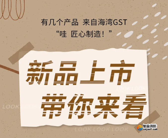 海灣消防N600二線制系列集中電源集中控制型消防應急照明燈具新品上市