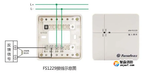 输入模块AFN-FS1229接线示意图