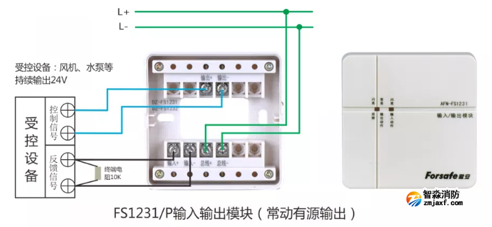 FS1231/P输入输出模块接线图