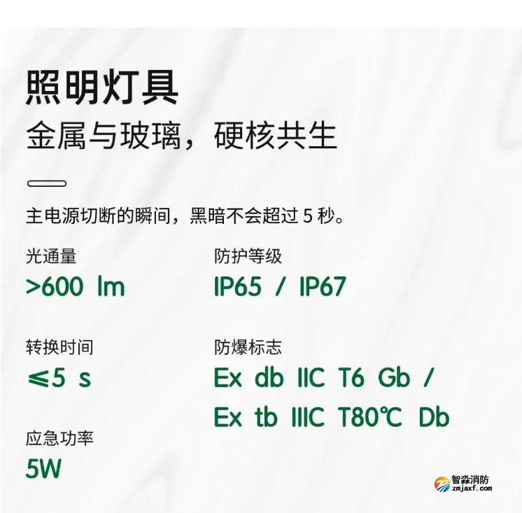 泰和安隔爆型照明灯具