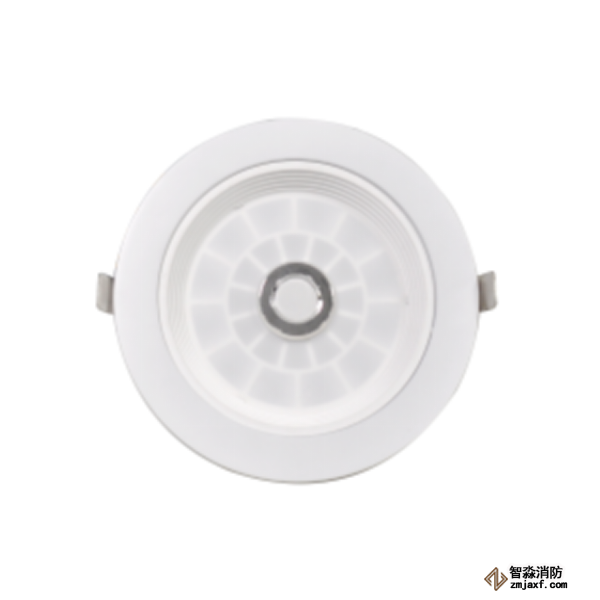 泰和安TS-ZFJC-E3W-6610集中电源集中控制型消防应急照明灯具